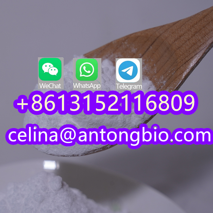 BMK Glycidic Acid (sodium salt) CAS 5449-12-7 with Fast Delivery Netherlands/UK/Poland/Europe/Canada/Australia